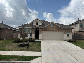18300 Emu Ln in Manor, TX - Building Photo