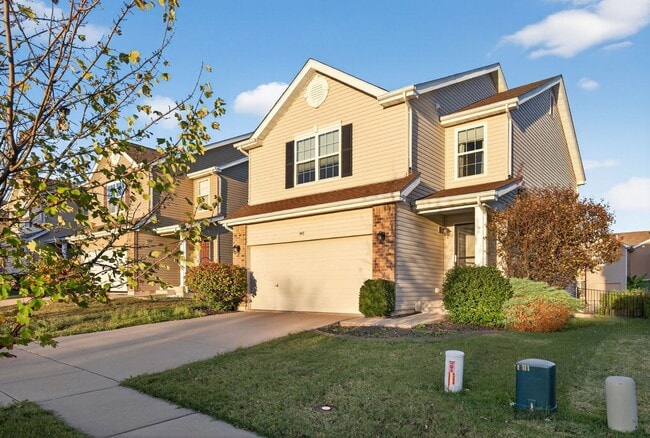 447 Spring Trce