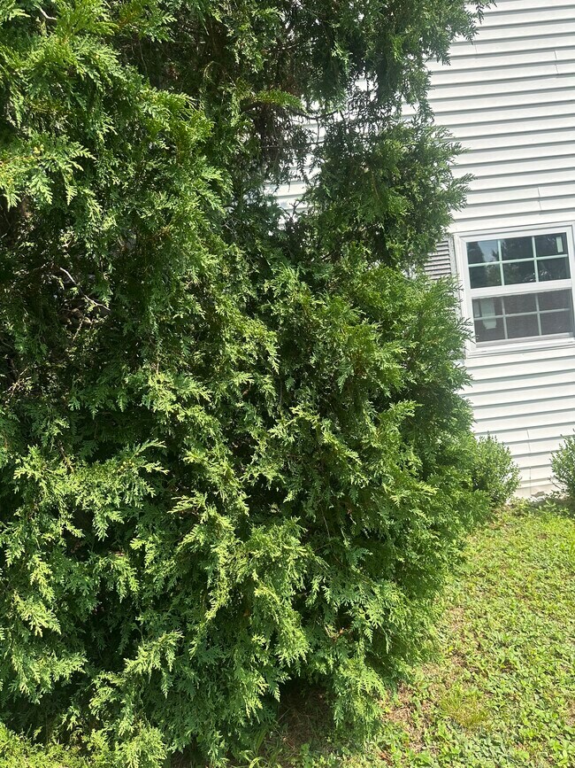 property at 19 Lehigh Ct