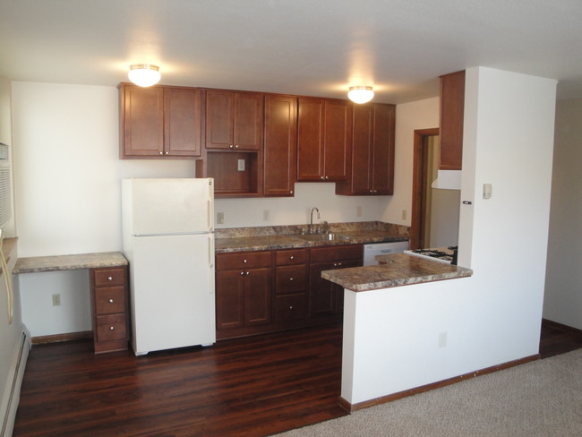 4th Street Apartments in Minneapolis, MN - Building Photo - Building Photo