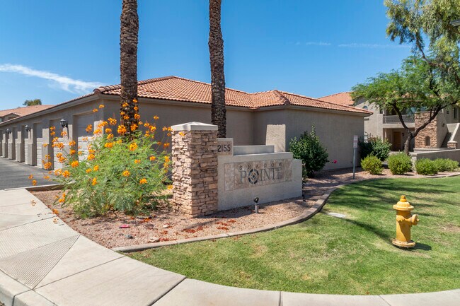 Shadow Pointe in Chandler, AZ - Building Photo - Building Photo