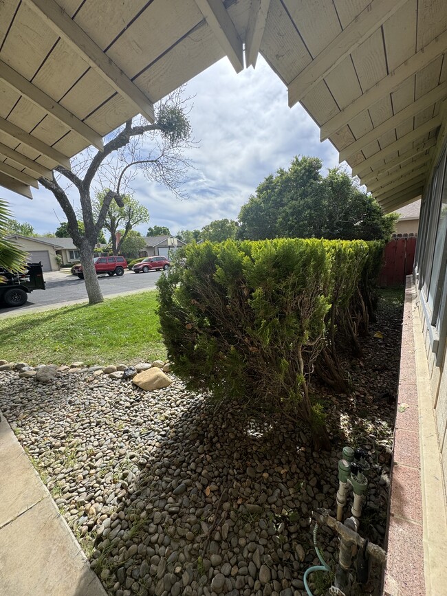 2521 Casita Dr in Modesto, CA - Building Photo - Building Photo