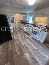 233 Vanlieu St in Charlotte, MI - Foto de edificio - Building Photo