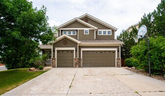 7414 Halite Ct in Castle Rock, CO - Building Photo