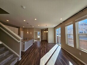 17576 Rose Heath Ln in Parker, CO - Building Photo - Building Photo