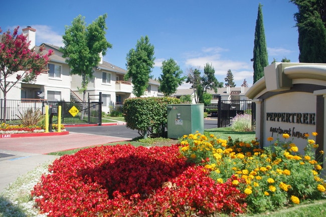 Peppertree in Pittsburg, CA - Foto de edificio - Building Photo
