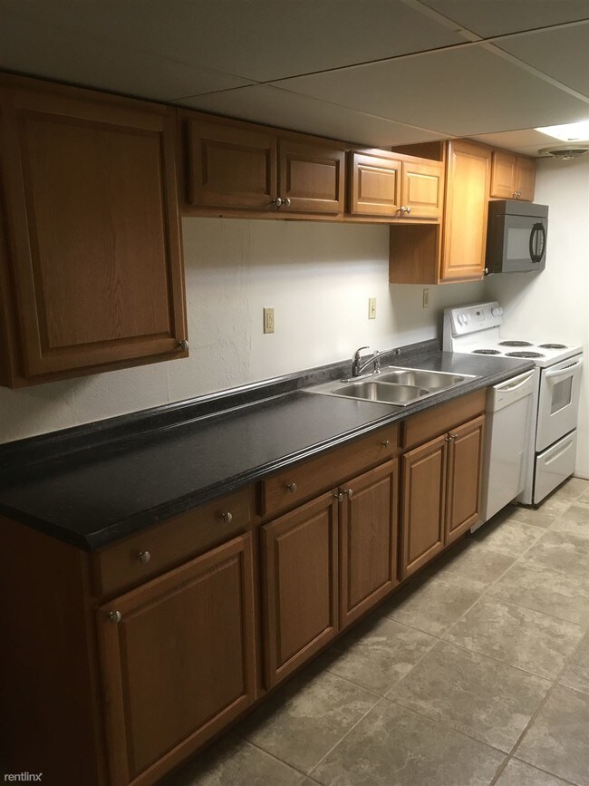 1015 Packard St in Ann Arbor, MI - Building Photo - Building Photo