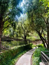 24149 Del Monte Dr, Unit 307 in Santa Clarita, CA - Foto de edificio - Building Photo