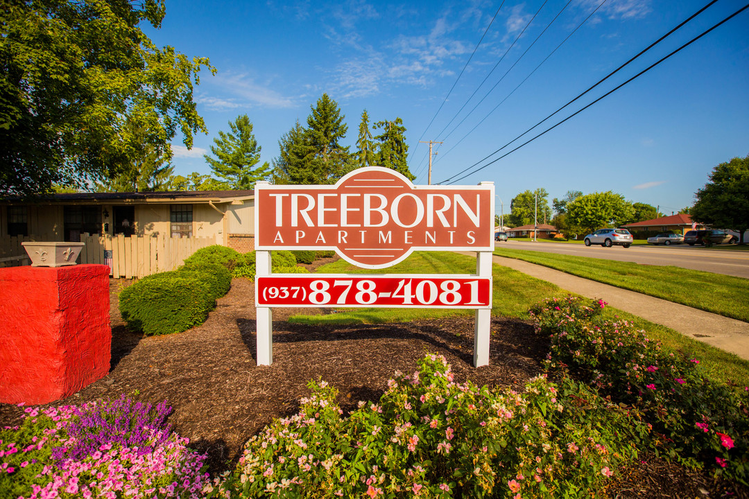 Treeborn Apartments Photo