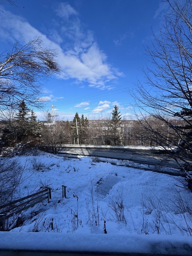 property at 75 Herring Cove Rd