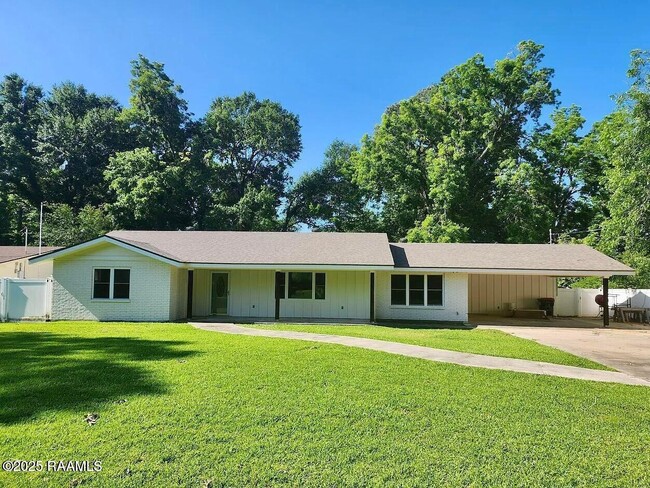 property at 207 Mitze Dr
