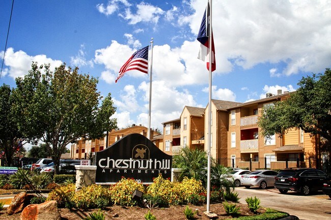 Chestnut Hill photo'