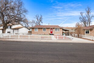 2525 Nadine Dr in Colorado Springs, CO - Building Photo