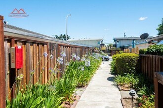 1824 El Parque Ct in San Mateo, CA - Building Photo - Building Photo