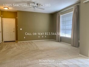 13005 Sanctuary Cove Dr in Temple Terrace, FL - Building Photo - Building Photo