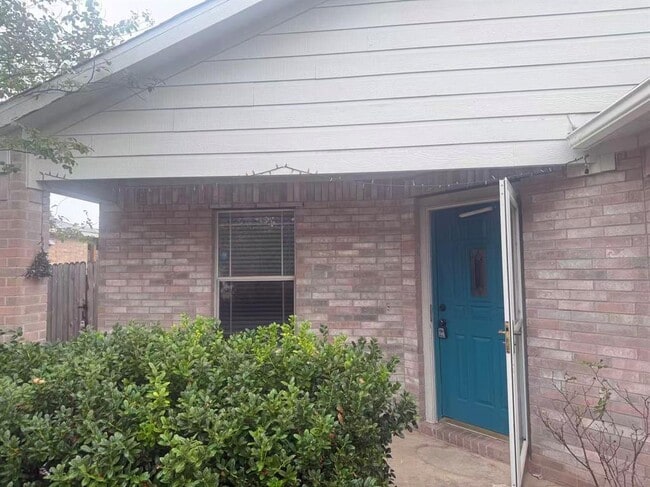 207 Mesa Dr in Leander, TX - Building Photo - Building Photo