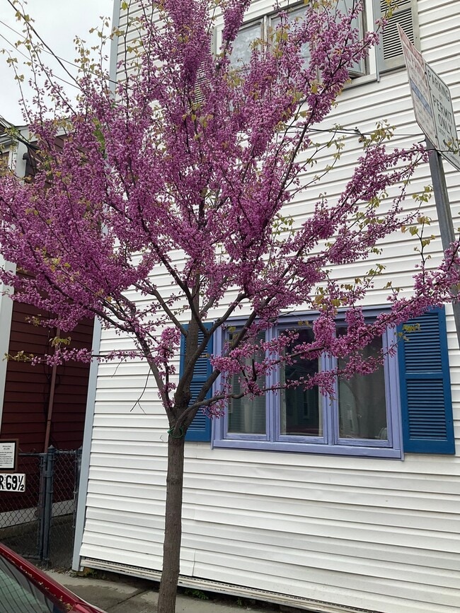 67 Gore St
