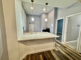 3756 S Paulina St, Unit 1 Frong in Chicago, IL - Building Photo