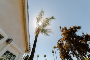 14836 Archwood St in Los Angeles, CA - Building Photo