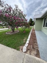 38822 Margs Ct in Zephyrhills, FL - Building Photo - Building Photo