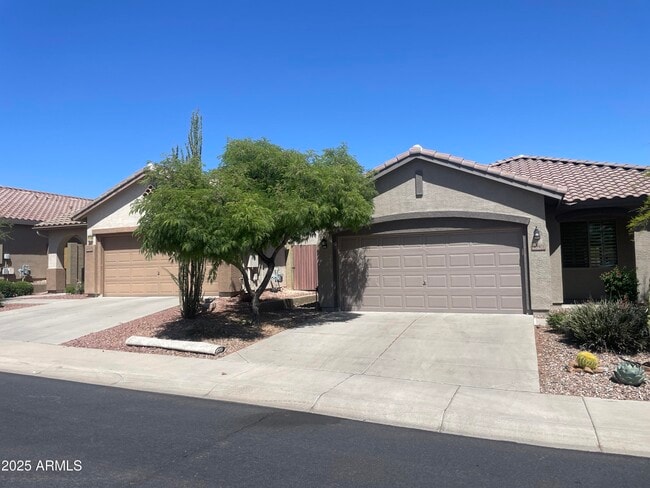 40901 N Citrus Canyon Trail in Anthem, AZ - Building Photo - Building Photo