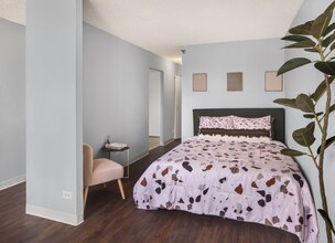 456 E Ohio St in Chicago, IL - Building Photo - Building Photo