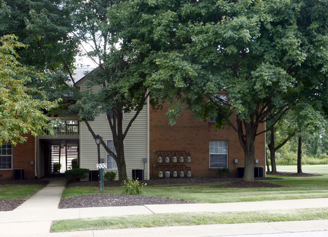 Williamsburg Apartments in Canton, OH - Building Photo - Building Photo