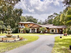 3900 Reaves Rd in Kissimmee, FL - Building Photo