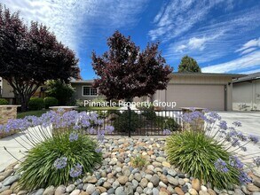 4237 Haines Ave in San Jose, CA - Building Photo - Building Photo