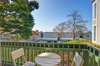 Baycliff Apartments in San Pablo, CA - Foto de edificio - Building Photo