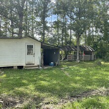 20455 Perrilloux Rd in Livingston, LA - Building Photo - Building Photo