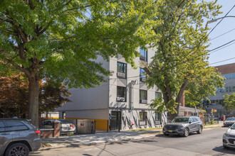 873 E 228th St in Bronx, NY - Foto de edificio - Building Photo