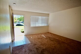 1597 Drake Dr in Davis, CA - Building Photo - Building Photo