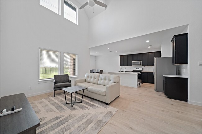 3815 Pierce Pl Ln in Katy, TX - Building Photo - Building Photo