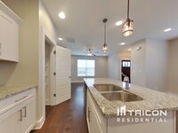 436 Elegance Way in Nashville, TN - Building Photo - Building Photo