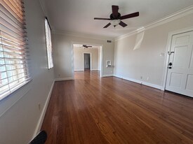 317 W University Ave, Unit 4 in Lafayette, LA - Building Photo