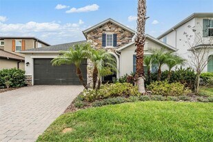 3509 Wicket Field Rd in Lutz, FL - Building Photo