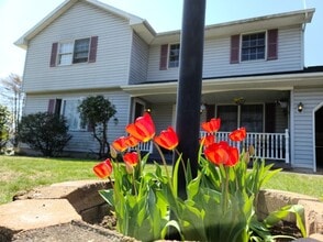 80 Lower Newtown Rd in Waterford, NY - Building Photo - Building Photo