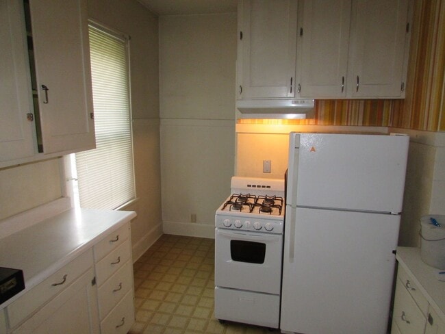 123-125 S Brittingham Pl in Madison, WI - Building Photo - Building Photo