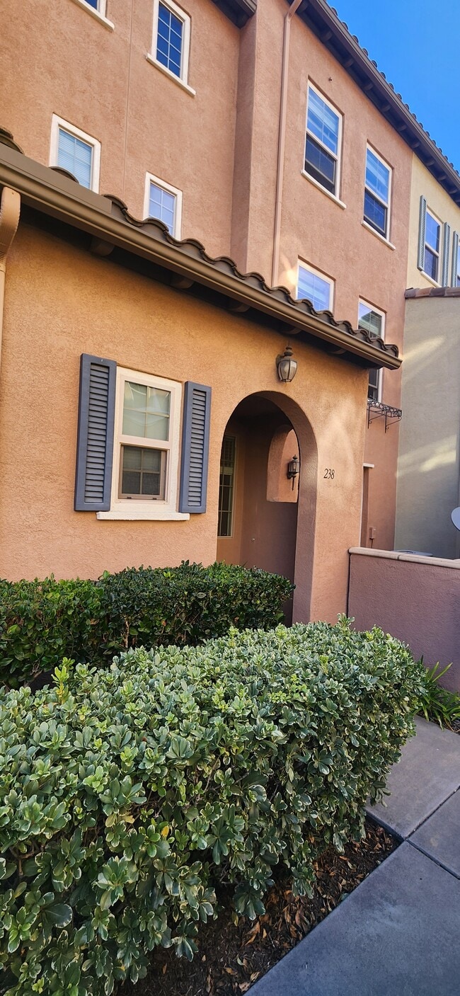 238 Marquette Ave in San Marcos, CA - Building Photo - Building Photo