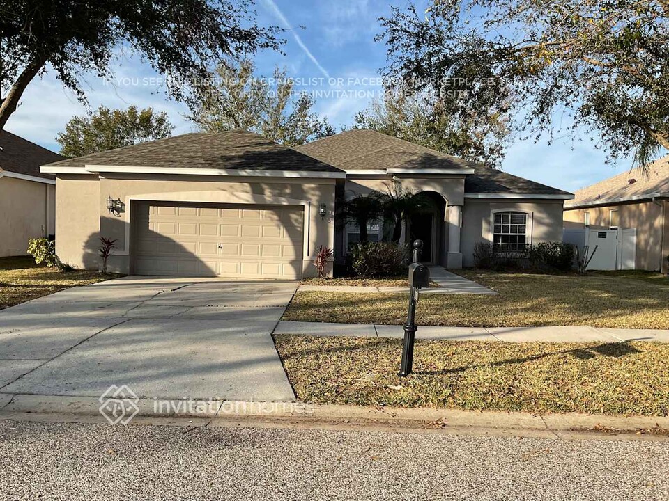 11758 Summer Springs Dr in Riverview, FL - Building Photo