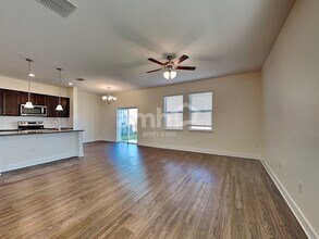 11208 Delicate Rose Ct in Riverview, FL - Foto de edificio - Building Photo