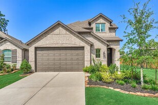 27129 Ivorywood Dr in Magnolia, TX - Building Photo