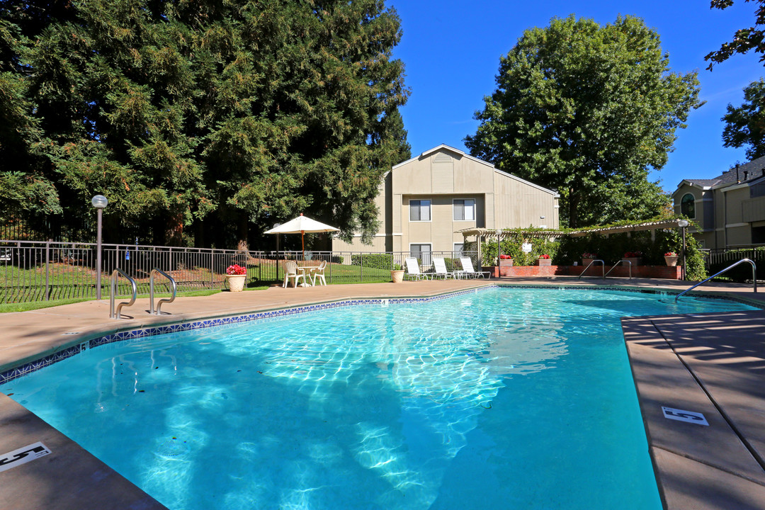 Lakeview Garden Apartments in Sacramento, CA - Building Photo