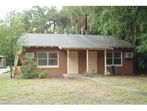 521 E Jackson Ave in Mount Dora, FL - Building Photo - Building Photo