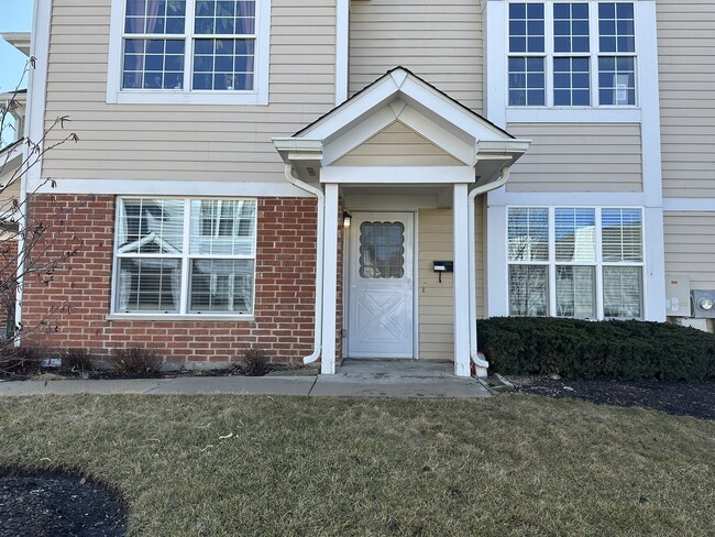 216 Chesterfield Ct in Schaumburg, IL - Foto de edificio - Building Photo