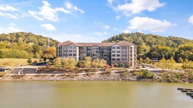 445 W Blount Ave, Unit 105 in Knoxville, TN - Foto de edificio - Building Photo