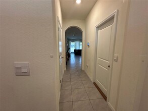 2917 Flowering Moss Run in Wesley Chapel, FL - Building Photo - Building Photo