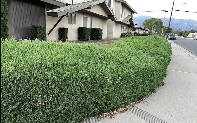 2411 Pattiglen Ave in La Verne, CA - Foto de edificio