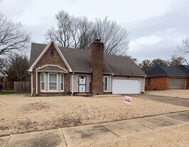 3737 Rippling Creek Ln in Memphis, TN - Building Photo